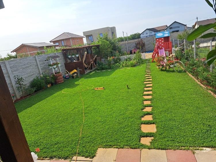 Duplex complet mobilat Bucovat Remetea Mare - 11