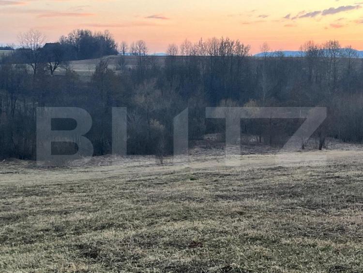 Teren intravilan -Horodnic de Jos- Oportunitate unica de inv - 3