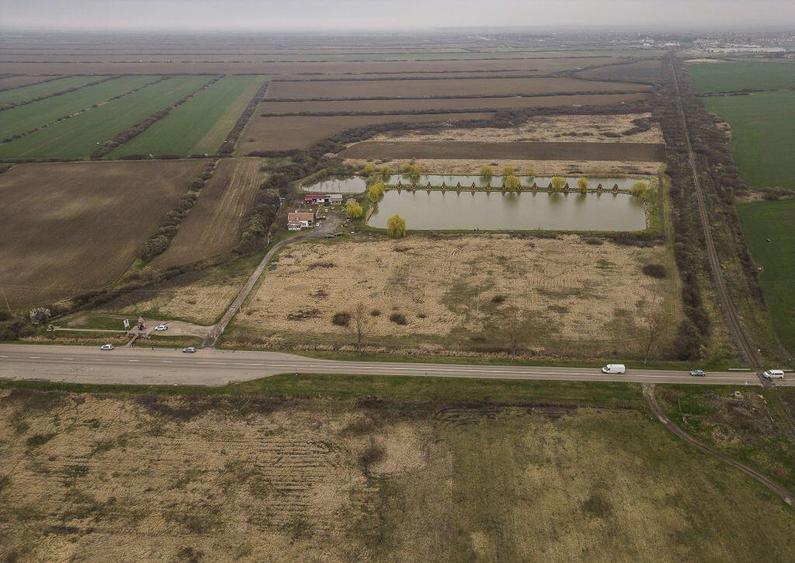 Teren extravilan in Ineu - 29