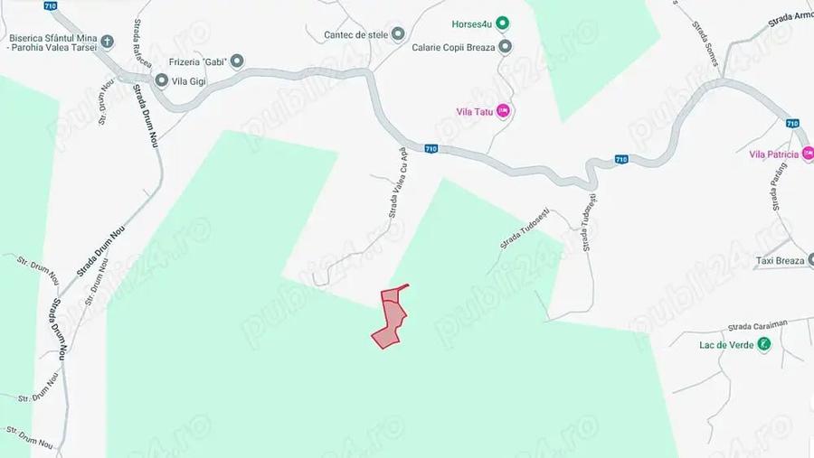 Teren intravilan 6.376 mp, Breaza, Valea Tarsei, ideal pentru pensiune sau casa de vacan?a. - 2