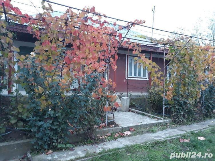 Vand casa in Dealu Morii - 2