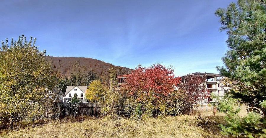 Teren Intravilan Bunloc - 4