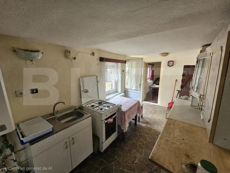 Casa cu 4 camere, teren 544 mp, 2 fronturi stradale asfaltate, Cricau - 3