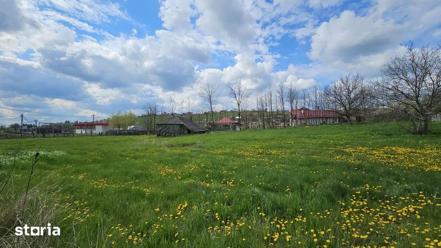 Teren de 2600 mp, în Copou