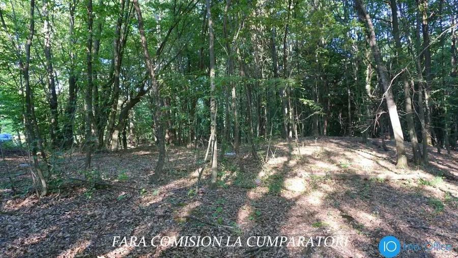 TEREN 6700 MP, INTRAVILAN LANGA PADURE - 6