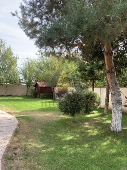 LIZIERA PADURII SAFTICA BALOTESTI CASA SI TEREN INCHIRIERE - 2