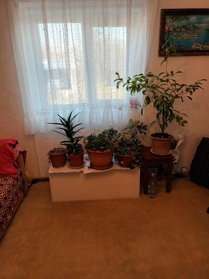 Casă de locuit sau vacanta  - 5