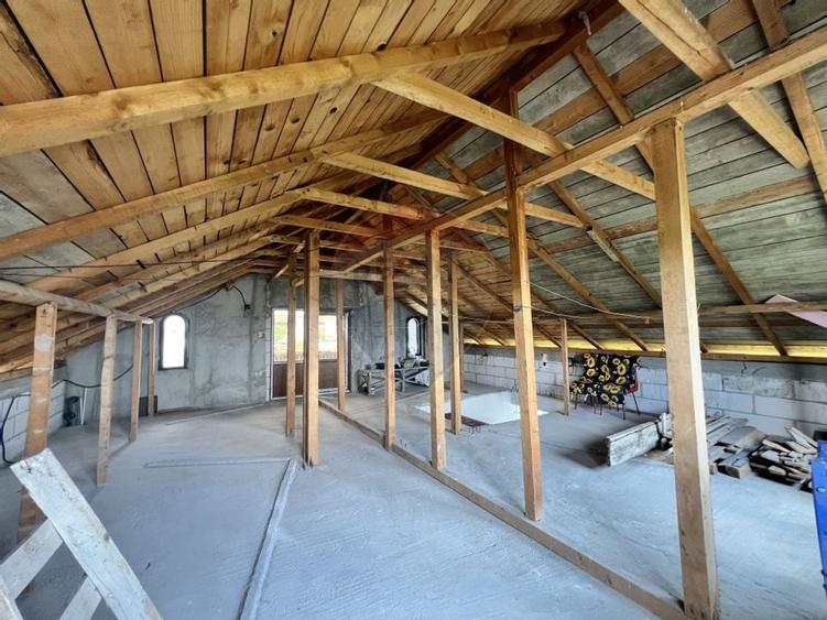 Casa cu potential intr-un cadru natural de exceptie - Mares, Albota - 14