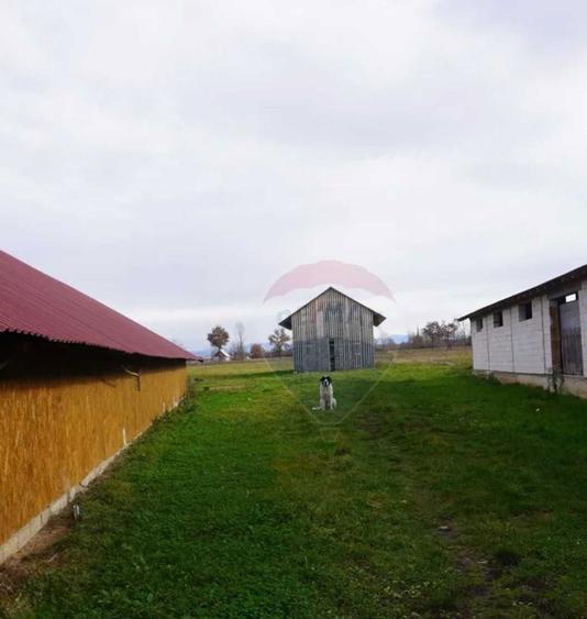 Vand Teren + Ferma+ Balta de peste in Comuna Sapanta judetul Maramures - 3