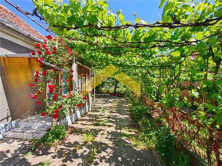 Casa la sol de vanzare in Vladimirescu - 2