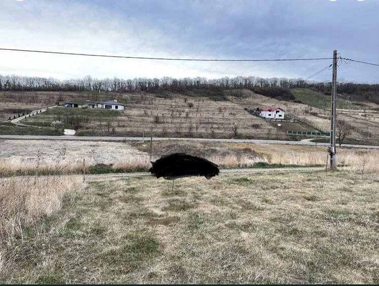 Teren intravilan 1000 mp Lebada Rai - 3