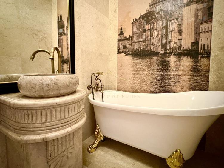 Spatiu Comercial de Lux | Dorobanti - 3