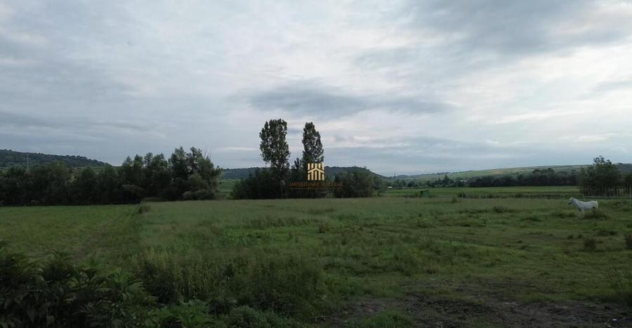 Teren 3953 mp Falticeni Tarna Mare De 0727817187 - 12