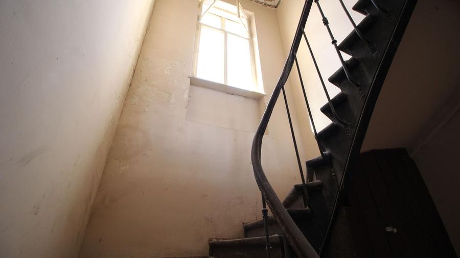 Spatiu comercial P+E zona Rosetti / 800 mp - 11