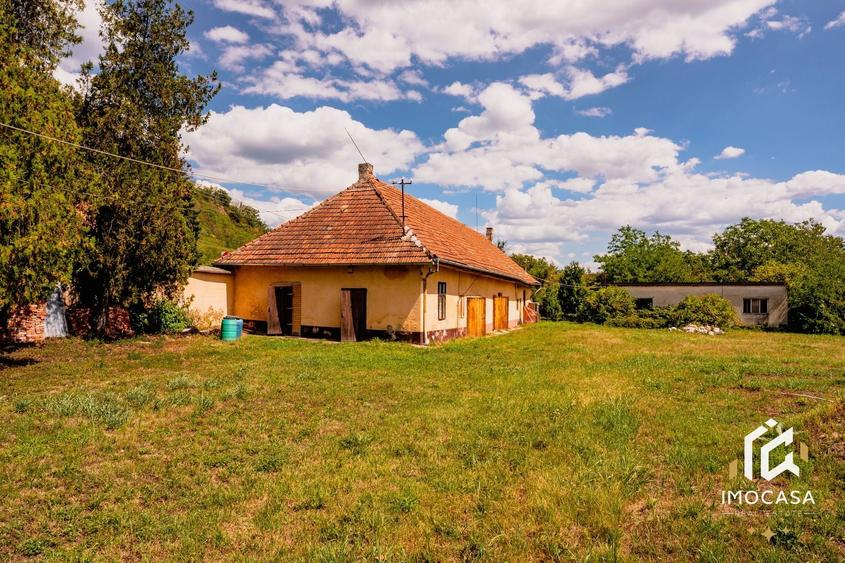 Vila Conac boieresc contelui Fabia 1920 de vânzare Păuliș Arad 2,4 ha - 6