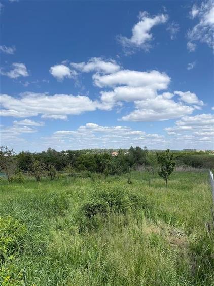 RECO, CASA IN UNGARIA, 30 KM DE ORADEA - 7