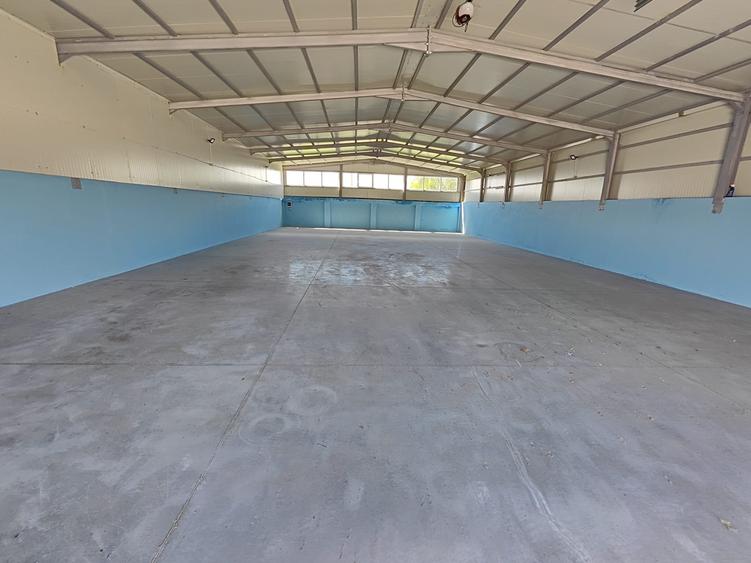 Hala noua depozitare/productie/logistica, zona Prejmer, 1200mp - 7
