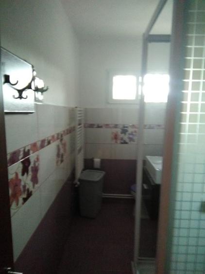 Apartament 2 camere mobilat si utilat complet, centrala termica , termopan, situ - 9