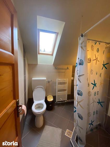 Vila/Pensiune + Casa, Teren 50 arii, Sovata - 13