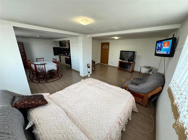 CASA DE VANZARE PANCIU - 10