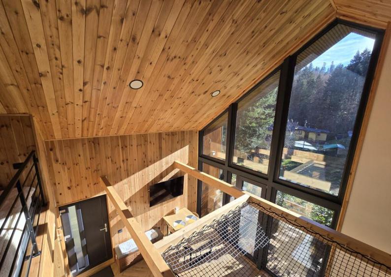 Cabane scandinave premium, vedere catre padure investi - 13