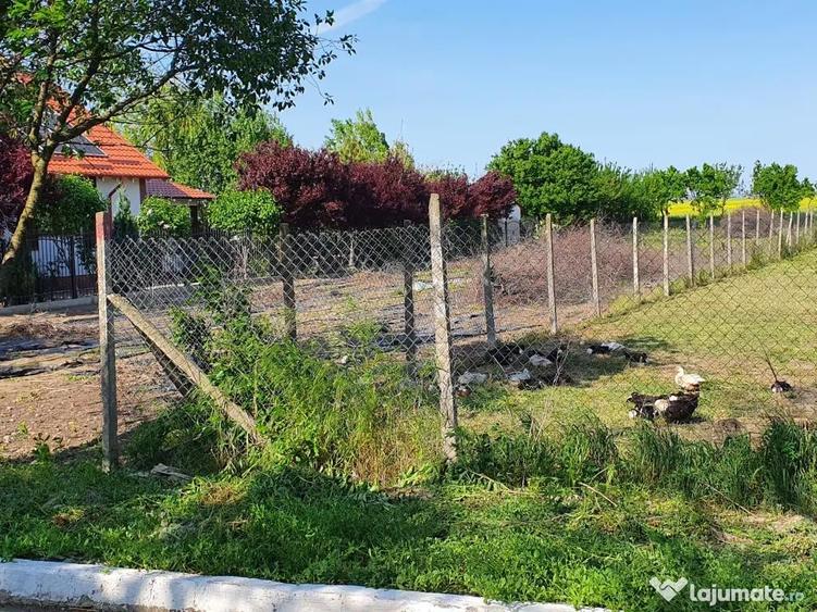 Teren 1000 mp, Oituz (Constan?a) - 6