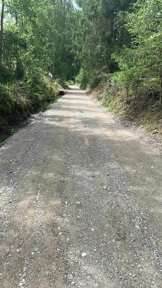 Teren intravilan in Bucovina, Dorna Arini - 8