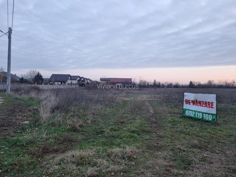 Teren Construcții intravilan de 11173 mp, în Domnești