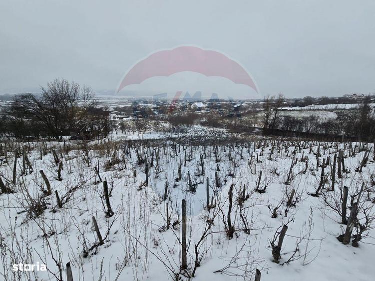 Teren intravilan 7000 mp Simnic, Izvor - 1