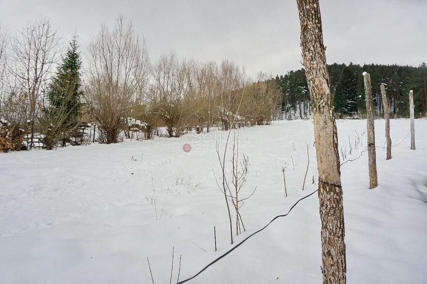 Teren Intravilan - Pretabil Dezvoltare Rezidentiala - 9