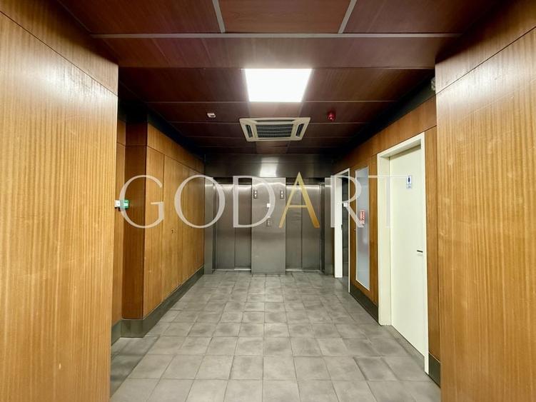 Spațiu de Birouri Premium | Etaj Integral | 455 mp - 20