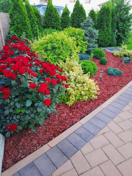 Casa individuala ultracentrala Radau?i 4 camere, 516 mp teren, ideala locuit - 1