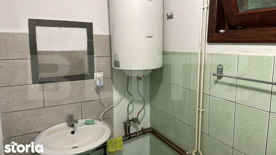 Casa de vacanta / cabana Campu Cetatii 2460 mp teren - 7