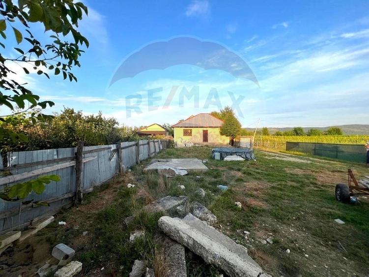 Casă de vânzare 3 camere - com. Letea Veche- sat. Holt - 5