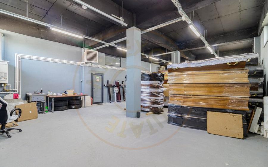 Hala / Spatiu Productie / Rezidential - Vedere catre lac - 5