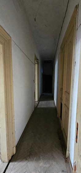 Proprietate exceptionala - Armeneasca - Cercului 2A - 11