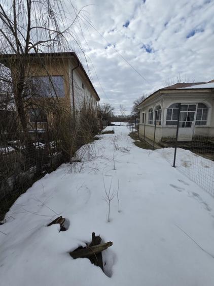 Teren de vanzare in Cornetu - 3