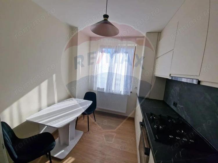 Apartament cu 2 camere de inchiriat Cartierul Tei - 15