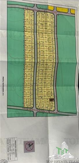 Oferta speciala luna aceasta  / Teren de vanzare / 2500 mp in Frumusani - 4