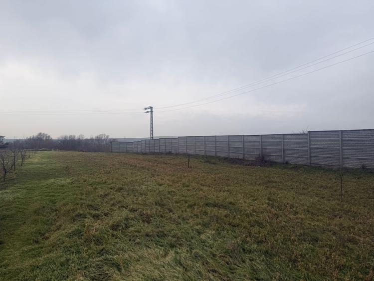 Teren intravilan, 2500 mp, front stradal 30 m, Simnicu de Sus - 4