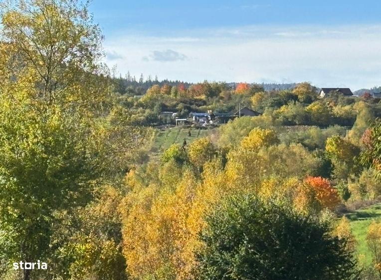 Teren de vanzare - Agapia, Neamt - 7