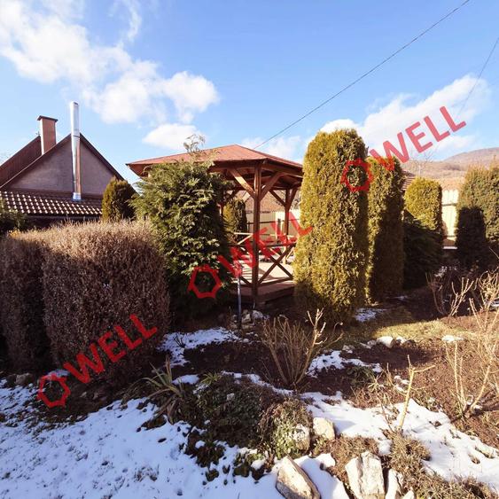 Casă familiară de vânzare în Bixad! - 9