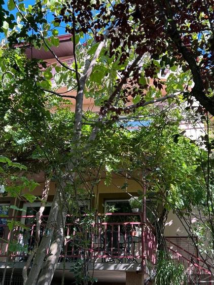 Casă individuală Buftea, 3.162 mp teren, ieșire spre lac - 36