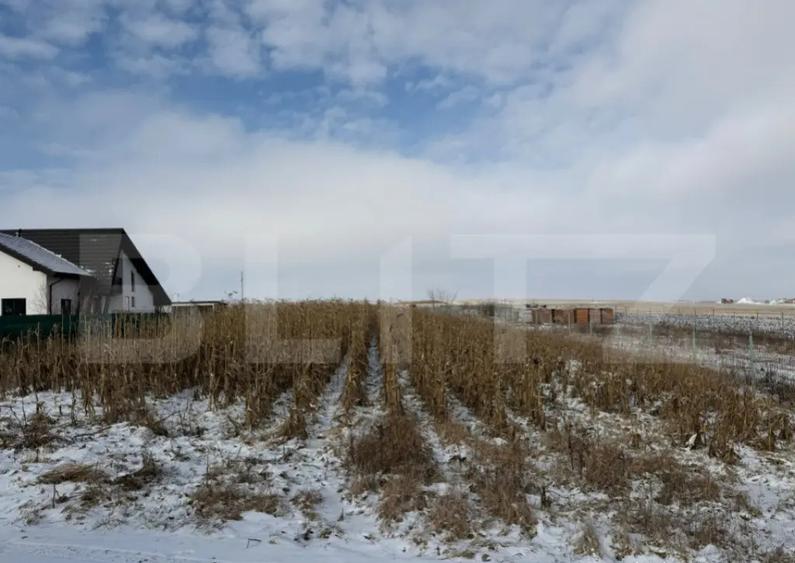 Teren extravilan, 33.6 ari, zona Frumoasa - Scheia. - 1