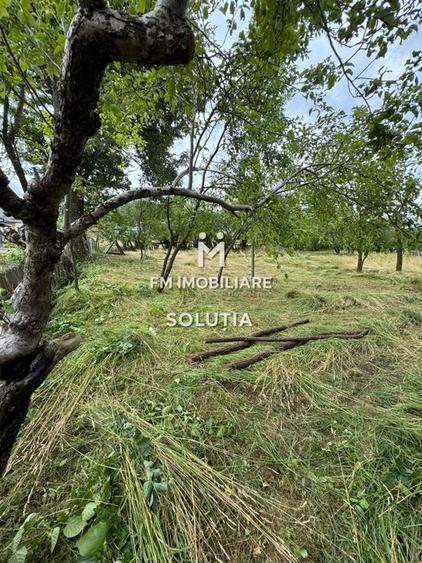 Casă de vânzare în Moisei, zonă turistică- 23 ari teren! - 8