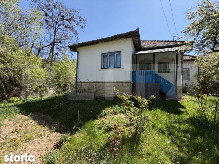 Casa cu 3 camere si un teren de 5000 mp - 4