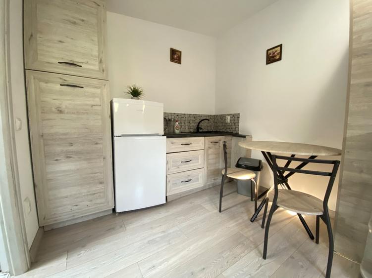 Apartament cu 1 camera, zona Podu Ros - 6