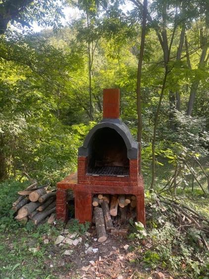 Casă de vancata lângă râu- Provița de Jos - 9