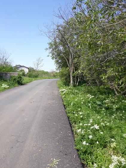 Teren de 629 mp, în Olteni