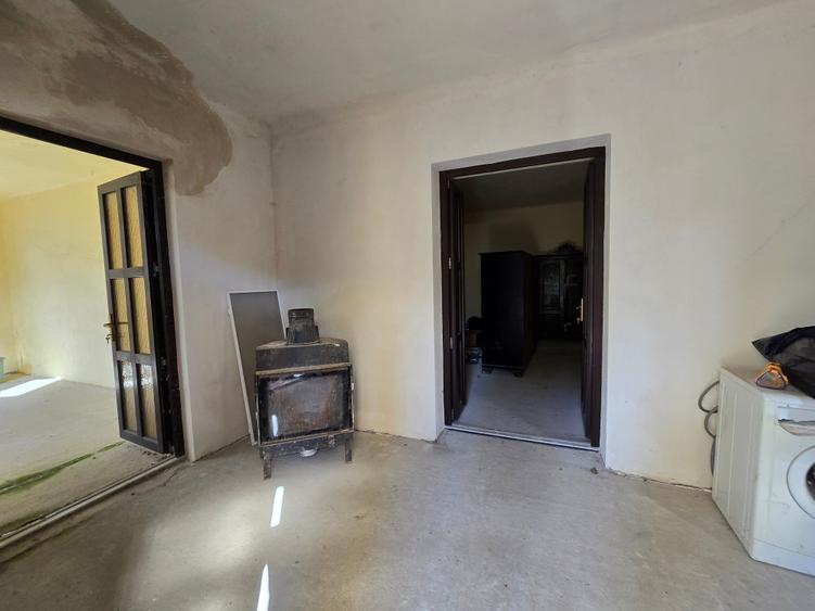 Cenad-Ultracentral-2 fronturi- Casa cu ahitectura deosebita - 19